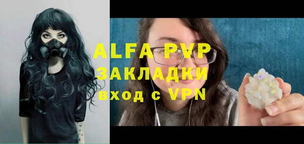 мяу мяу мука Белокуриха