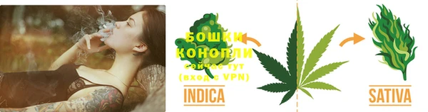эйфоретик Пересвет