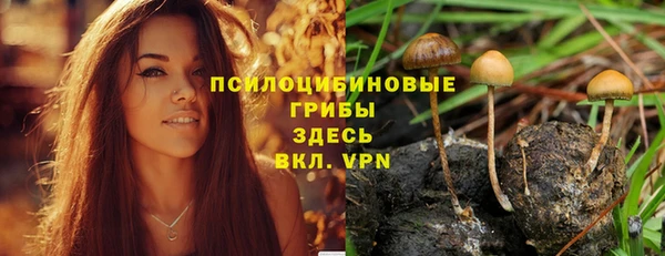 MDMA Переславль-Залесский