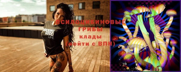 МДПВ Пестово